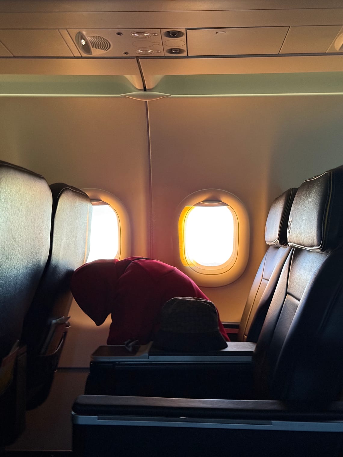 flight