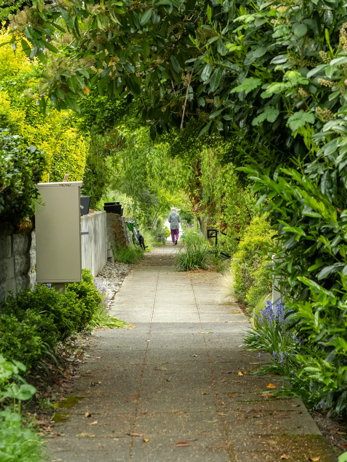 walk