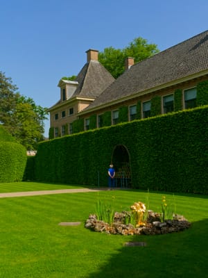 tuin
